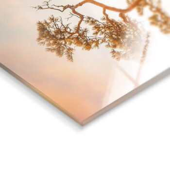 Sklenený obraz 50x70 cm Brown Tree - Styler – Obrázok 6