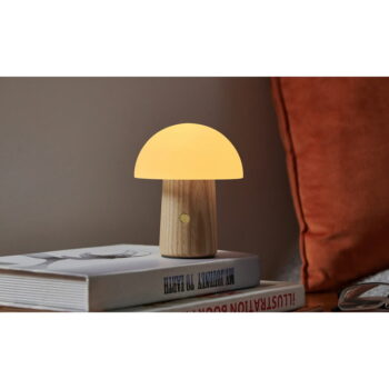 Stmievateľná stolová lampa v prírodnej farbe so skleneným tienidlom (výška 13 cm) Alice – Gingko - Image 5