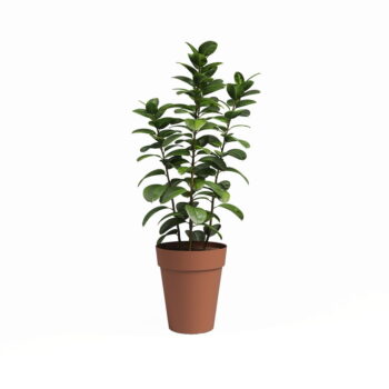 Kvetináč z recyklovaného plastu ø 40 cm Capri – Artevasi - Image 2