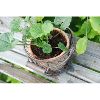 Terakotový ručne vyrobený kvetináč ø 12 cm – Esschert Design - Image 5