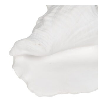 Soška z polyresínu (výška 13 cm) Seashell – Ixia – Obrázok 4