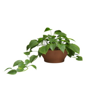 Kvetináč z terakoty ø 23 cm Saramago – Artevasi - Image 2