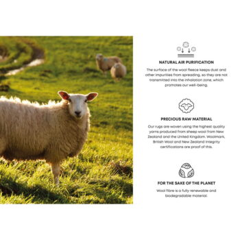 Krémovo-sivý vlnený koberec 200x300 cm Plants – Agnella – Obrázok 7