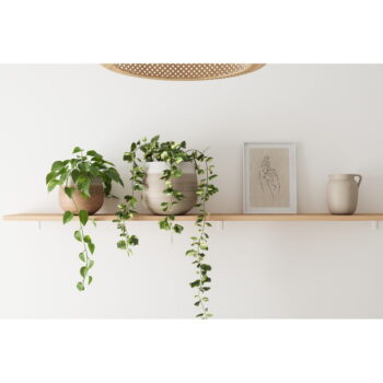Keramický ručne vyrobený kvetináč ø 26 cm Antheia – Artevasi – Obrázok 2