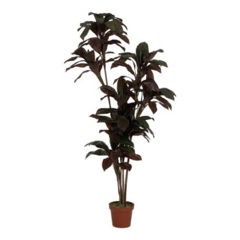 Umelá rastlina (výška 170 cm) – Ixia