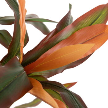 Umelá rastlina (výška 140 cm) Dracena – Ixia - Image 3