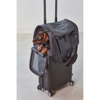 Prepravná taška pre psa 28x55 cm Volata Asphalt S/M – MiaCara - Image 10