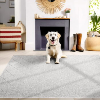 Sivý vonkajší koberec 140x200 cm Zagora – Ayyildiz Carpets - Image 2