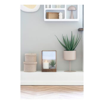 Umelá rastlina (výška 51 cm) Aloe Vera – House Nordic - Image 3