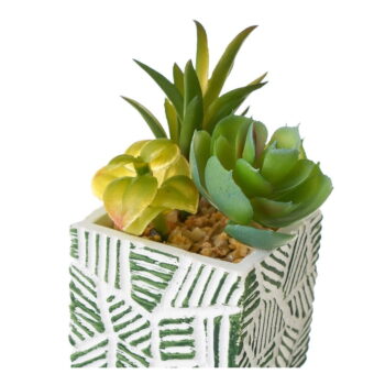 Umelé rastliny v súprave 3 ks (výška  12 cm) Cactus – Casa Selección - Image 3