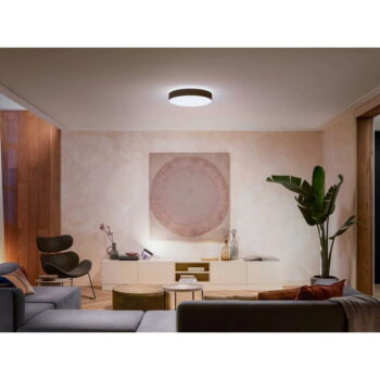 LED inteligentné stropné svietidlo 33,5 W Enrave – Philips Hue - Image 2