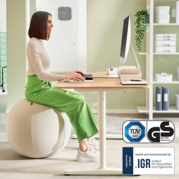 Ergonomická sedacia lopta so závažím ø 75 cm Ergo – Leitz - Image 4