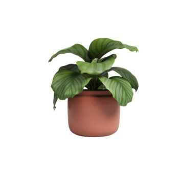Keramický ručne vyrobený kvetináč ø 20 cm Astrea – Artevasi - Image 5