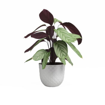 Kvetináč z recyklovaného plastu ø 30 cm Havana – Artevasi - Image 2