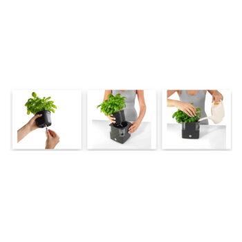 Samozavlažovací plastový kvetináč na bylinky Cobble - Flower Lover - Image 8