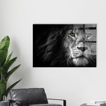 Sklenený obraz 70x50 cm Lion - Wallity – Obrázok 5