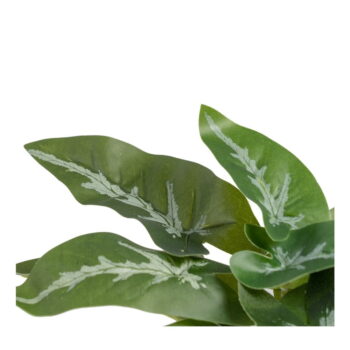 Umelá rastlina (výška 21 cm) Syngonium – Ixia - Image 3