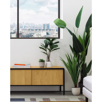 Umelý fikus (výška  60 cm) Lyrata – Kave Home - Image 4