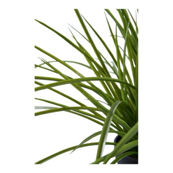 Umelá tráva (výška 45 cm) – House Nordic – Obrázok 4