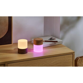 Stmievateľná stolová lampa v prírodnej farbe so skleneným tienidlom (výška 10,5 cm) Lemelia - Gingko – Obrázok 2