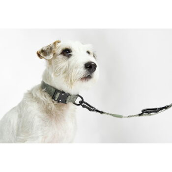 Zelený obojok veľkosť M/L dĺžka 35 cm Modena Grolive M/ML – MiaCara – Obrázok 4