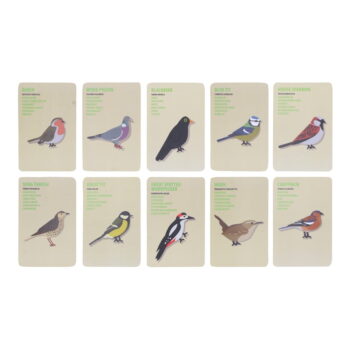 Vonkajšia hra Explorer Bag: Birds – Esschert Design - Image 6