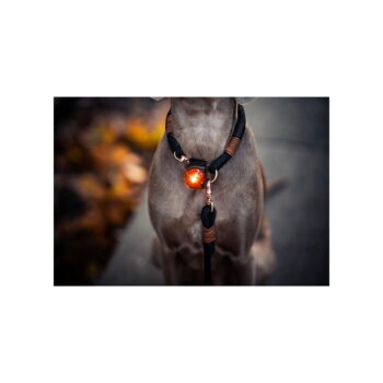 LED svetlo na obojok Amber – Orbiloc - Image 8
