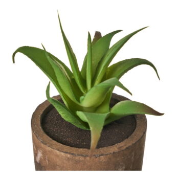 Umelé rastliny v súprave 4 ks (výška  10 cm) Cactus – Casa Selección - Image 3