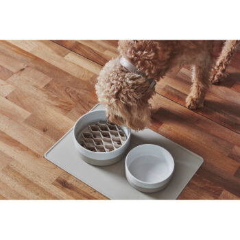 Porcelánová miska pre psa ø 21,5 cm Coppa Greige M/L – MiaCara - Image 3