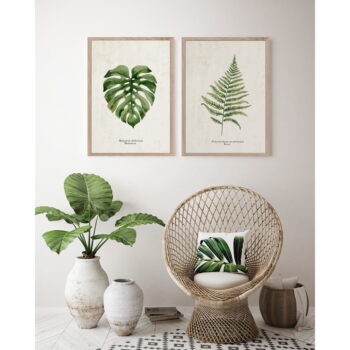 Plagát v ráme 50x70 cm Monstera - Styler - Image 2