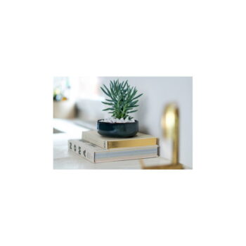 Tmavomodrá porcelánová miska 780 ml Crafted Denim – like | Villeroy & Boch - Image 3