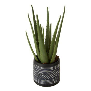 Umelá rastlina Fiori – Premier Housewares - Image 3