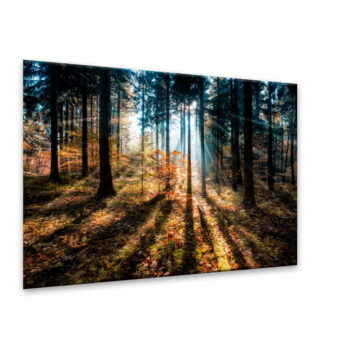 Obraz Styler Glasspik Autumn Sunset, 70 × 100 cm - Image 3