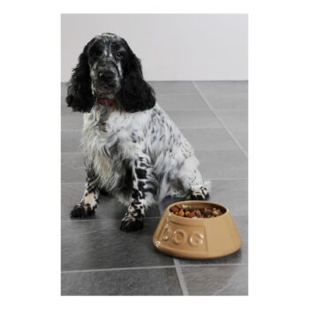 Kameninová miska pre psov Mason Cash Pet Cane Dog, ø 21 cm - Image 3