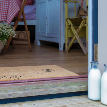 Rohožka z kokosového vlákna 40x60 cm Včela – Artsy Doormats - Image 8