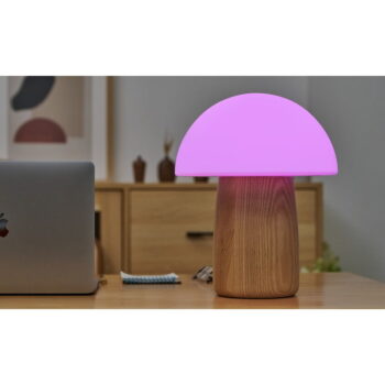 Stmievateľná stolová lampa v prírodnej farbe so skleneným tienidlom (výška 32 cm) Alice - Gingko – Obrázok 8
