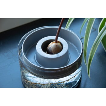 Sklenená klíčiaca miska ø 14 cm Avocado – Esschert Design - Image 2