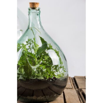 Sklenené rastlinné terárium s nástrojmi na pestovanie Esschert Design, 15 l - Image 6