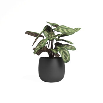 Keramický ručne vyrobený kvetináč ø 29 cm Hemera – Artevasi - Image 3
