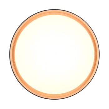 Čierne LED stropné svietidlo ø 40 cm Felis – Trio - Image 6