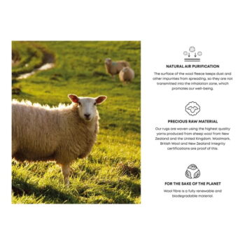 Béžový vlnený koberec 300x400 cm Damask – Agnella – Obrázok 8