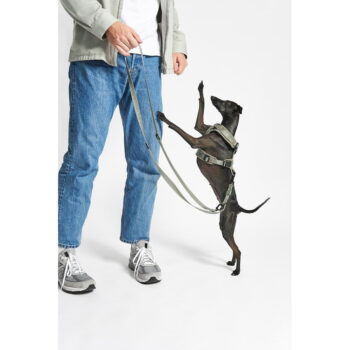 Zelený postroj veľkosť XS dĺžka 25 cm Modena Grolive XS – MiaCara - Image 3