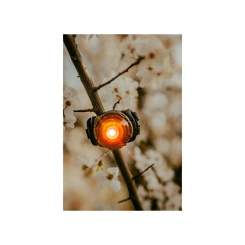 LED svetlo na obojok Amber – Orbiloc - Image 5