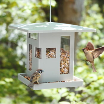 Kŕmidlo pre vtáčiky Bird - Umbra - Image 2