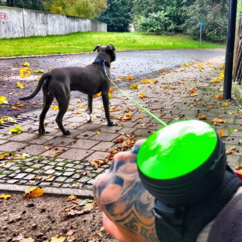 Čierna vôdzka veľkosť S 3 – Lishinu – Obrázok 2