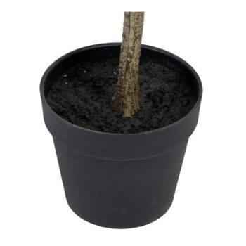 Umelý eukalyptus (výška 180 cm) Eucalyptus – Ixia - Image 4