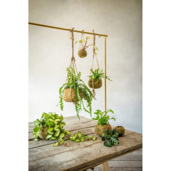 Kvetináč ø 9 cm Kokedama – Esschert Design - Image 2