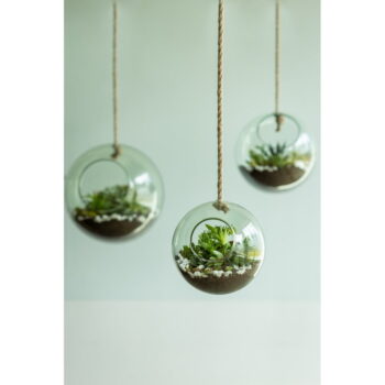 Sklenené aerárium ø 15 cm – Esschert Design - Image 4