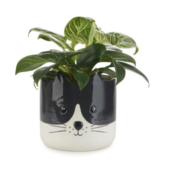 Keramický kvetináč ø 13,5 cm Kitty – Balvi – Obrázok 2