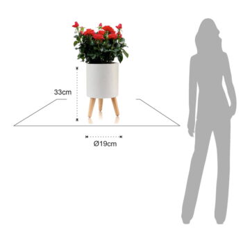 Plastový samozavlažovací kvetináč ø 19 cm Calla - Tomasucci - Image 9